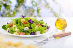 含有叶绿素和紫色素的植物和微生物